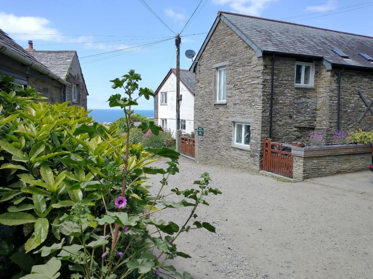 Villa The Mill Tintagel Exterior foto